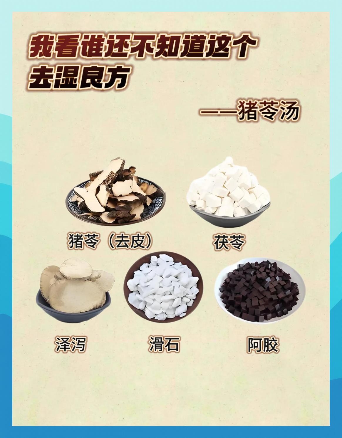 苓的拼音(苓的拼音怎么读)