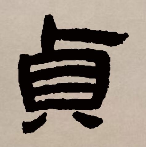 贞的拼音(贞的拼音字)