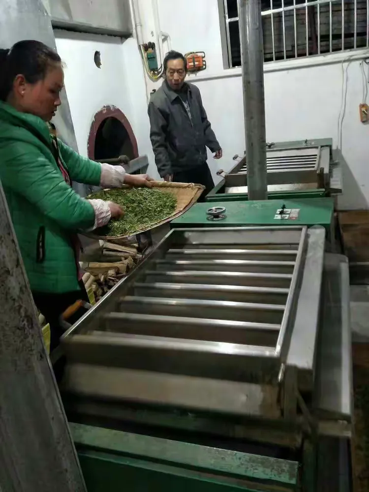 定军茗眉(定军茗眉茶叶多少钱一斤)