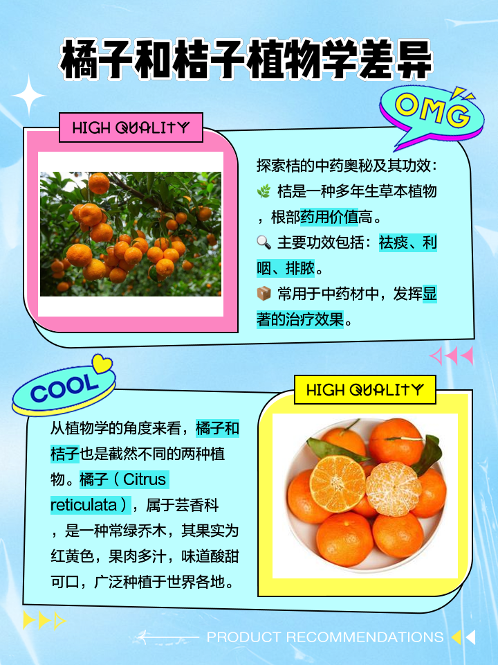 橘的拼音是(橘的拼音是几声) 橘的拼音是(橘的拼音是几声)