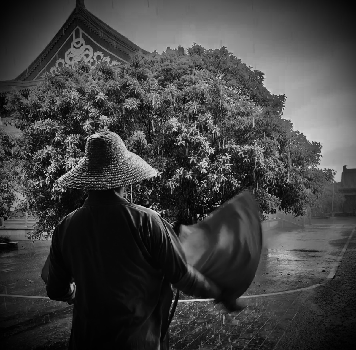 僧怎么读(僧伽怎么读) 僧怎么读(僧伽怎么读)