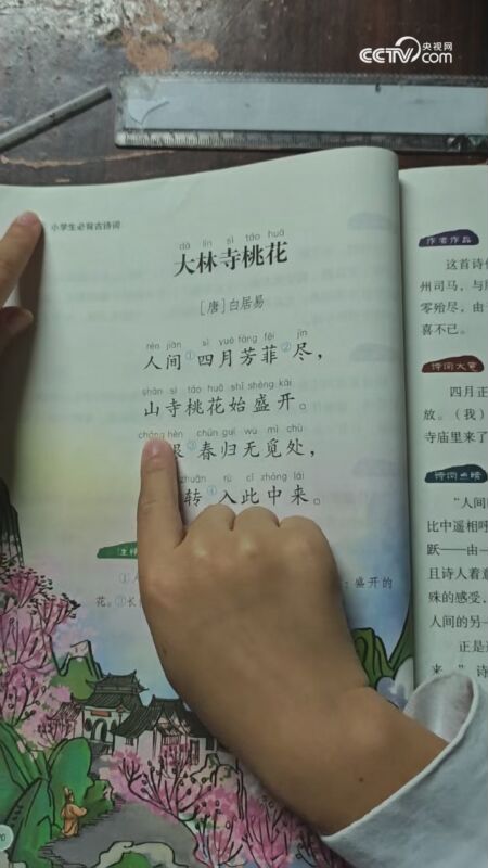 大林寺桃花诗意(大林寺桃花诗意境)