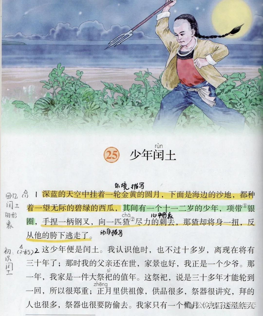少年闰土全文(少年闰土全文解析)