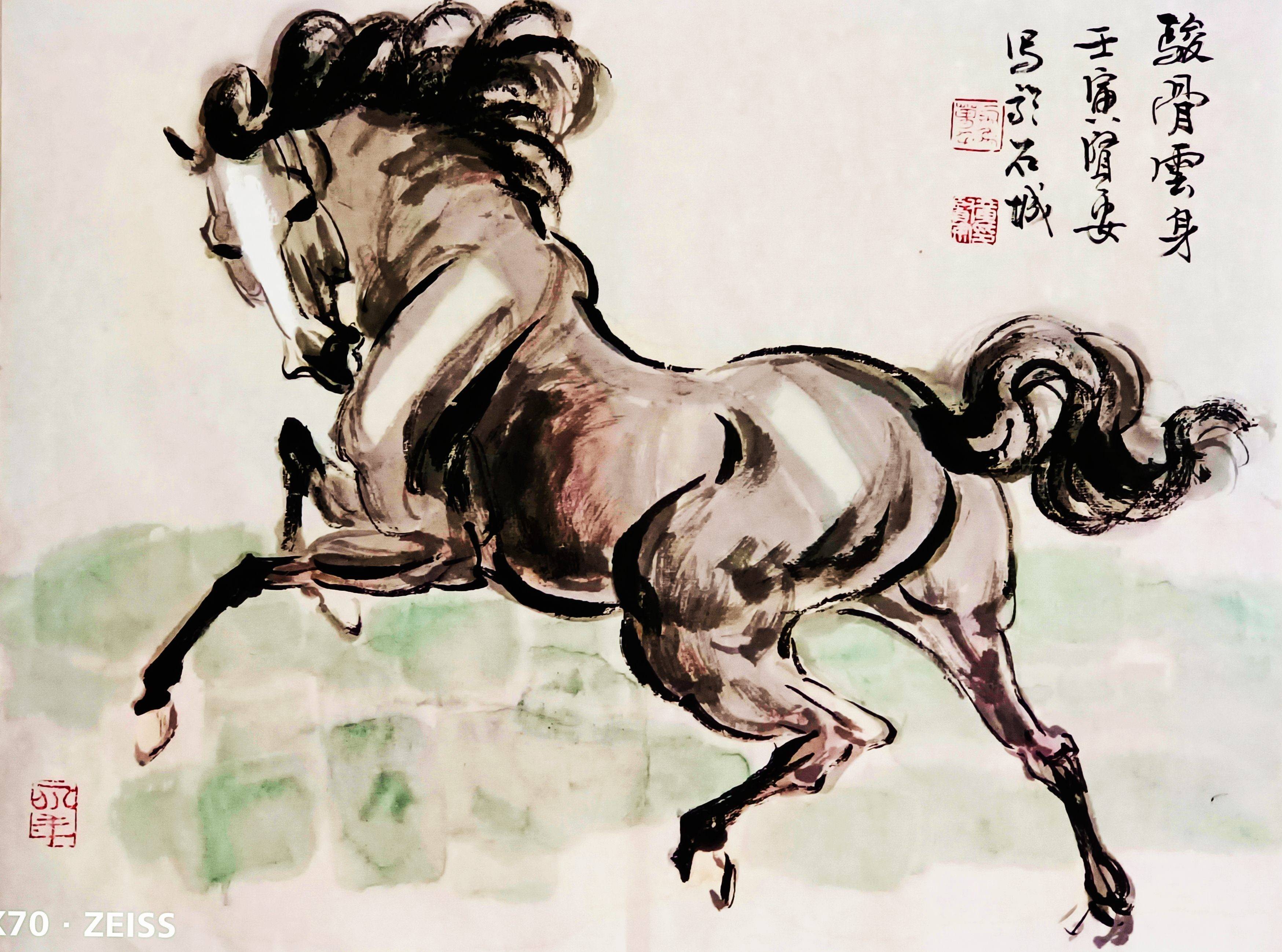 驹怎么读(驹怎么读拼音)