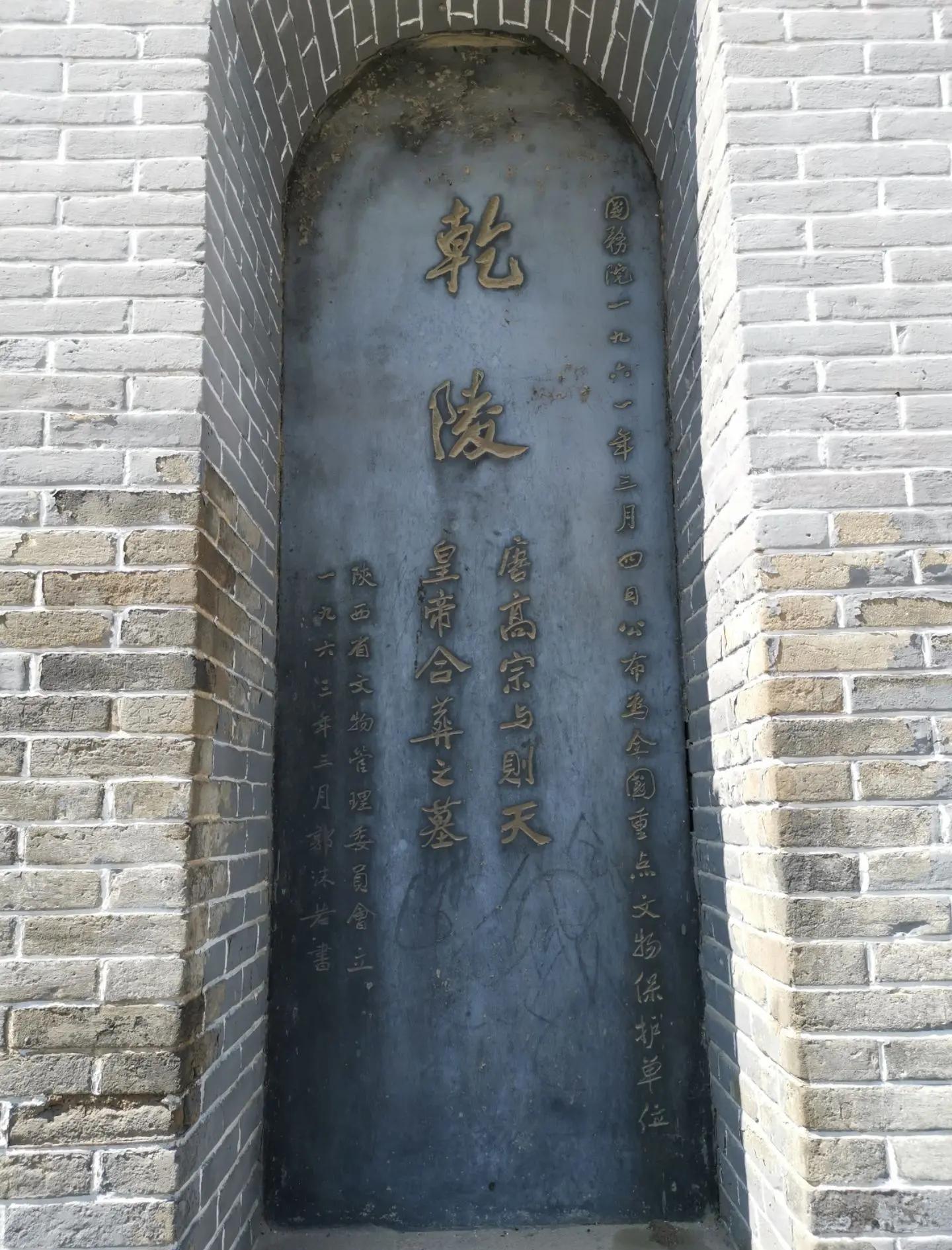 蕃(蕃茄的功效与作用)