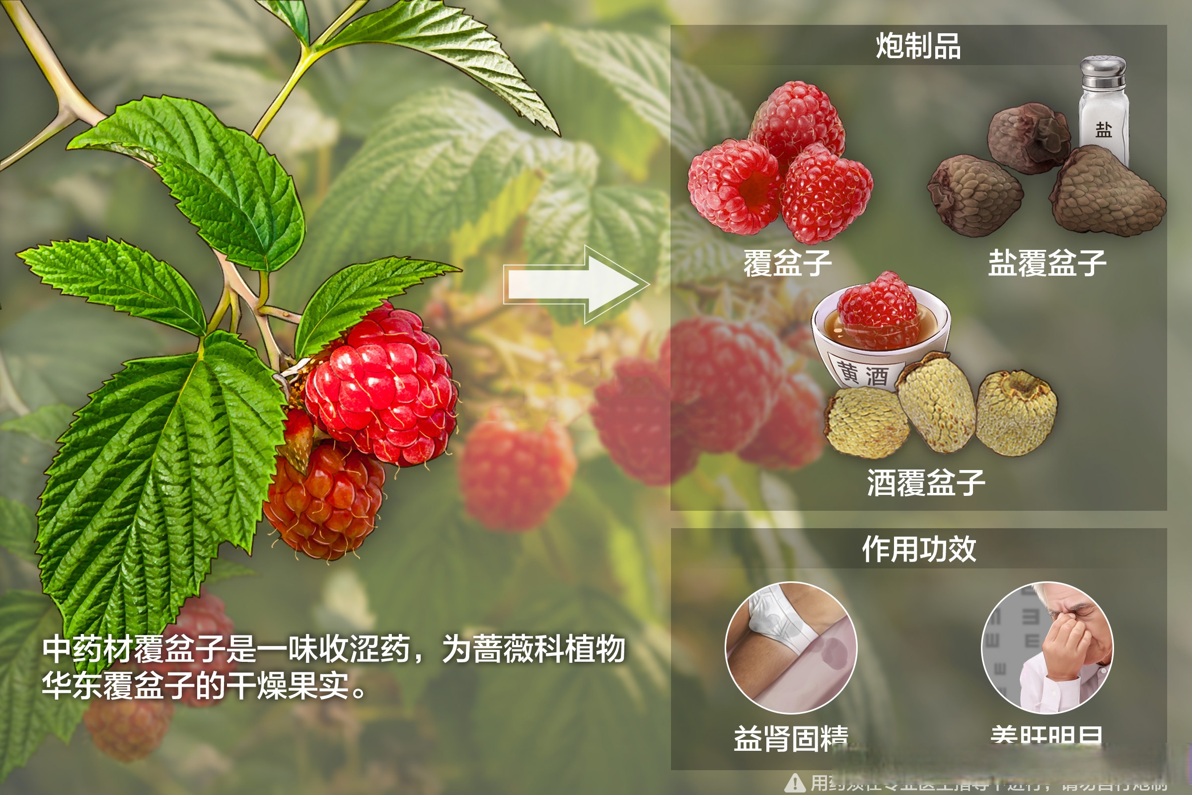 覆盆子多少钱一斤(覆盆子多少钱一斤2023) 覆盆子多少钱一斤(覆盆子多少钱一斤2023)