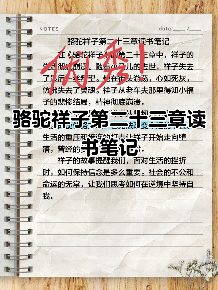 骆驼祥子全文内容(骆驼祥子的全文内容)