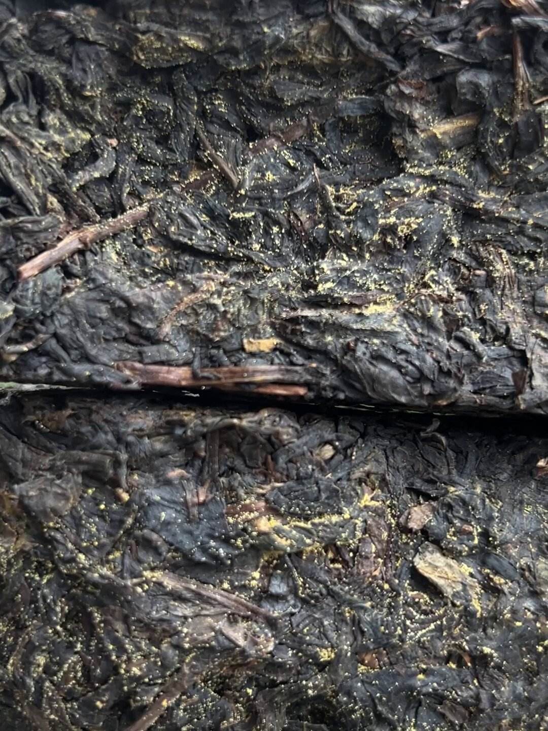 黑茶金花是什么东西(黑茶金花对人体有哪些好处) 黑茶金花是什么东西(黑茶金花对人体有哪些好处)