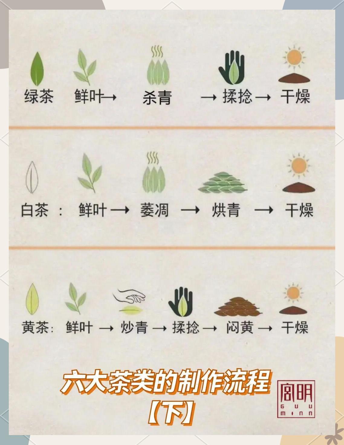 人参乌龙茶的功效与作用(人参乌龙茶的功效与作用是什么)