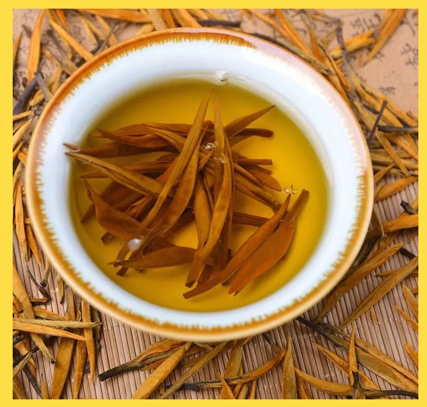 大金针茶叶(滇红大金针茶多少钱一斤)