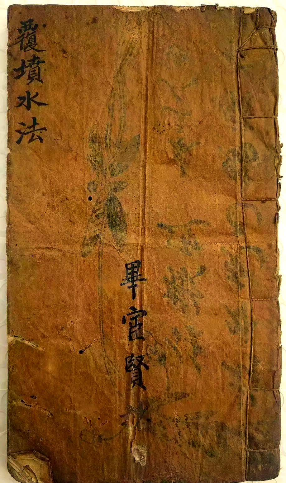 覆(覆盆子的功效与作用)