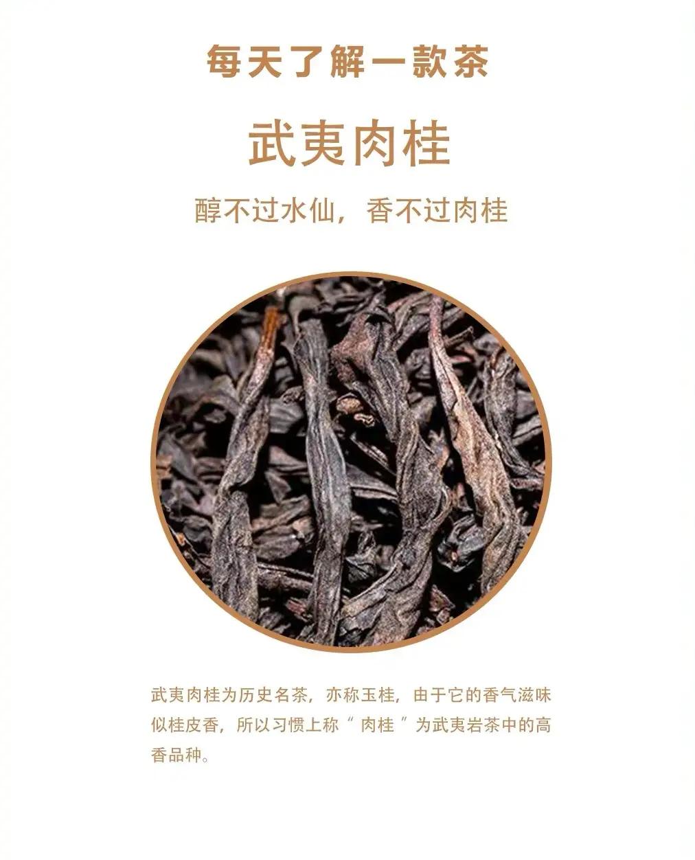 肉桂茶适合什么人喝(肉桂茶不能乱喝的原因)