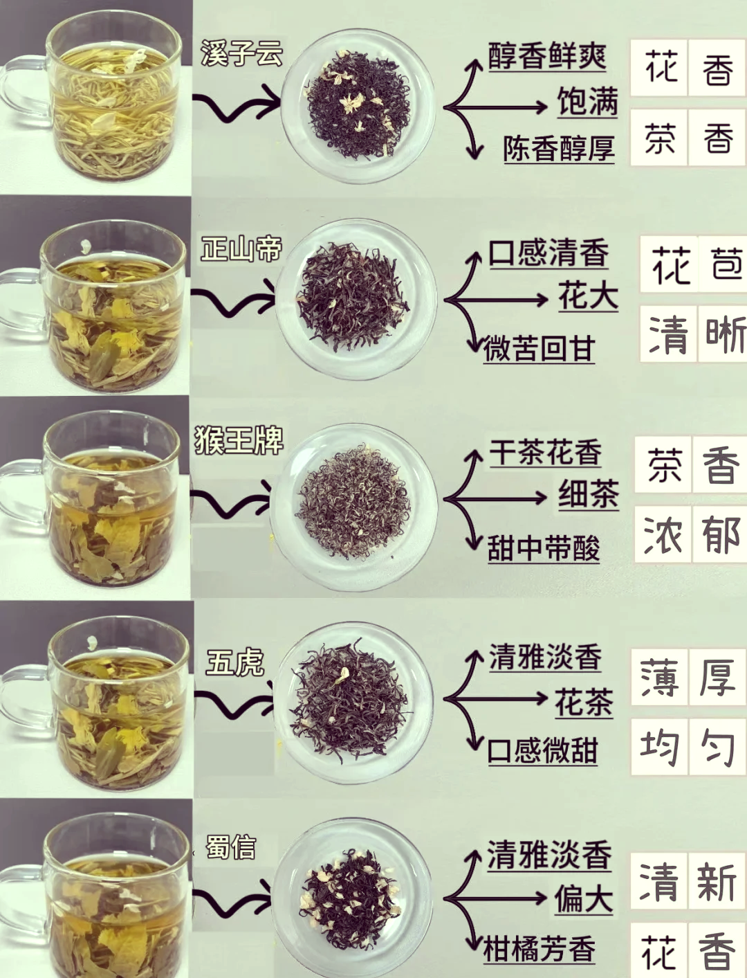 茉莉花茶上火还是去火(茉莉花茶上火还是去火的) 茉莉花茶上火还是去火(茉莉花茶上火还是去火的)