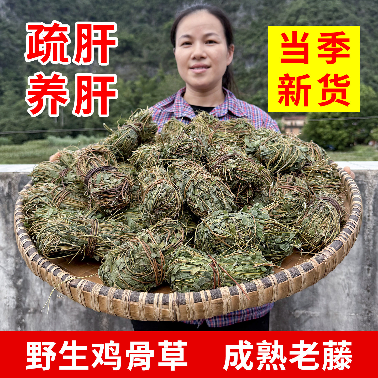 护肝茶的功效与作用(天天护肝茶的功效与作用)