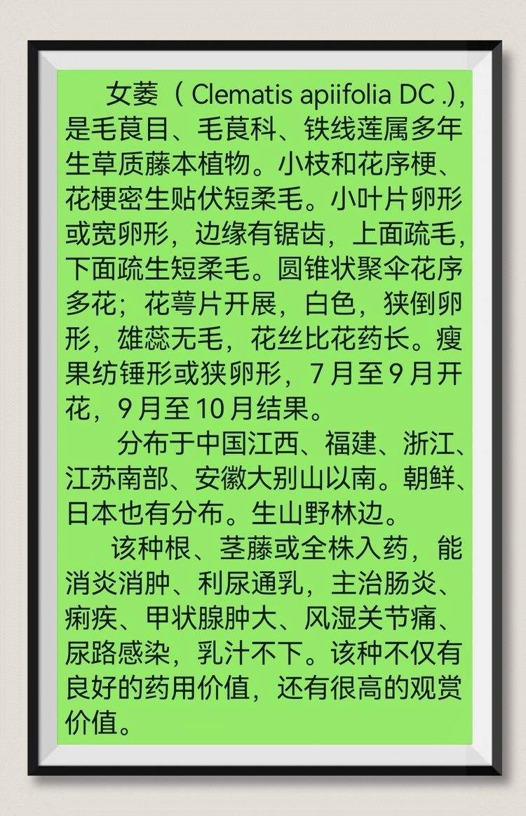 萎(萎组词)
