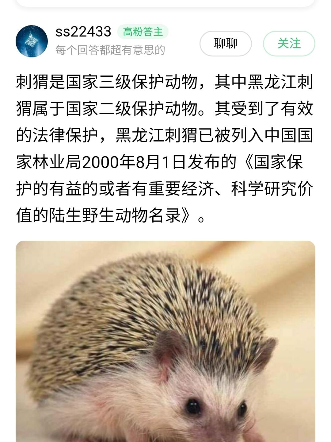 捡到刺猬是好事还是坏事(放生刺猬后运气会越来越好吗)
