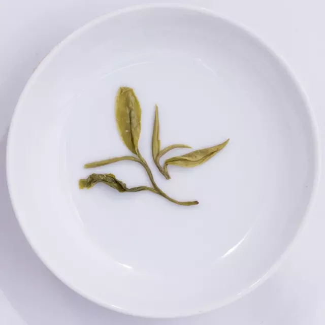 涌溪火青(涌溪火青是什么茶)