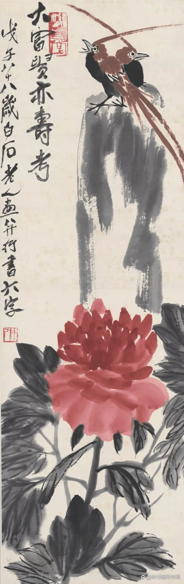 齐白石作品欣赏(石齐国画作品欣赏)