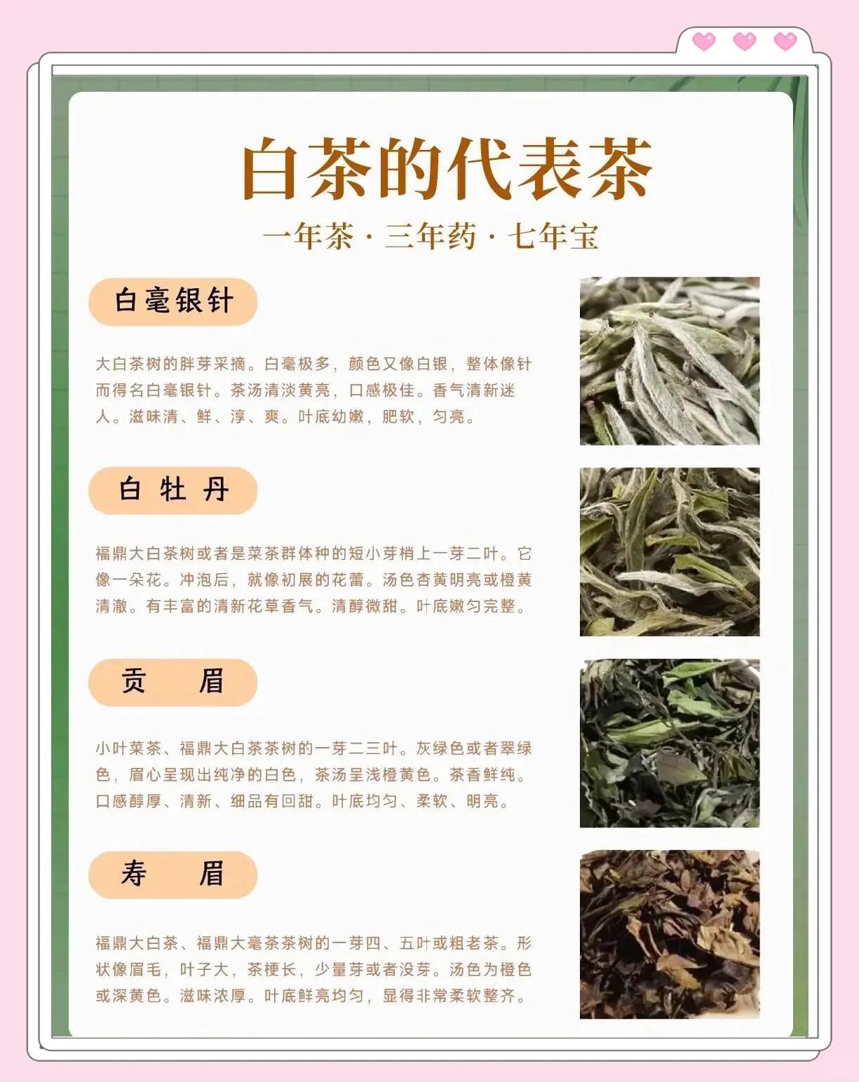 白茶需要放冰箱冷藏吗(白茶要放冰箱冷藏保存吗?)