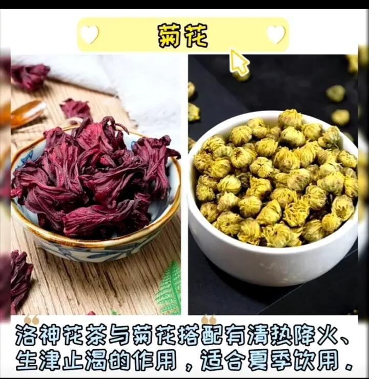 孕妇能喝洛神花茶吗(怀孕可以喝洛神花水吗)