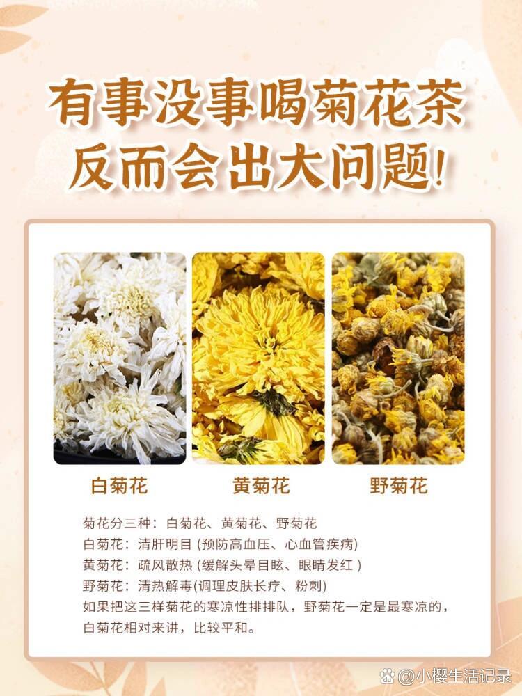 哺乳期能喝菊花茶吗(哺乳期能喝菊花茶吗,会回奶吗)