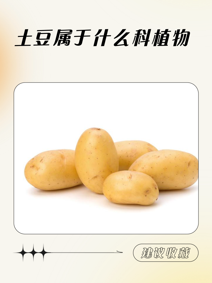 芋怎么读(蒺藜怎么读)