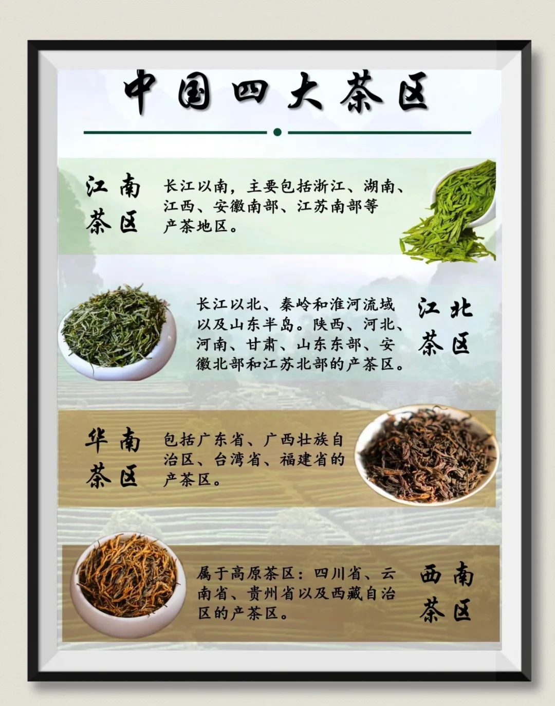 中国四大红茶(中国四大红茶是哪四大名茶)