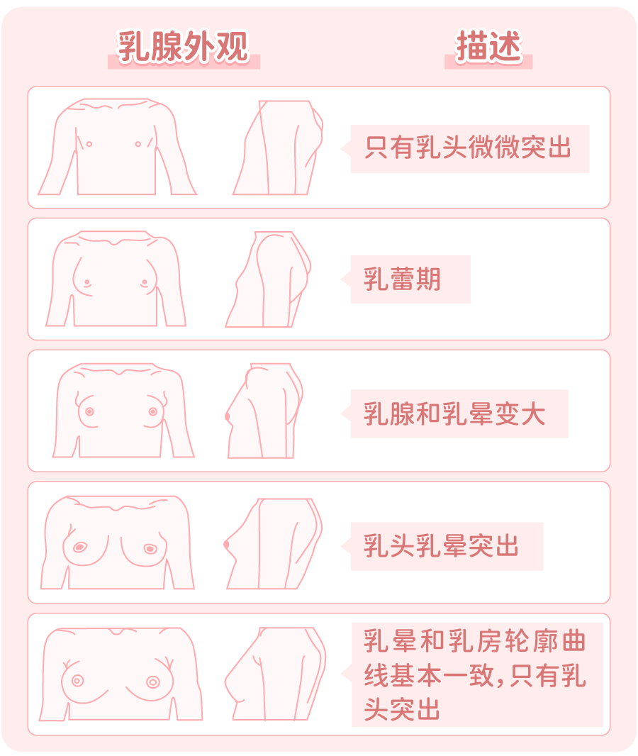 胸膛的意思(乐观面对挫折的例子司马迁)