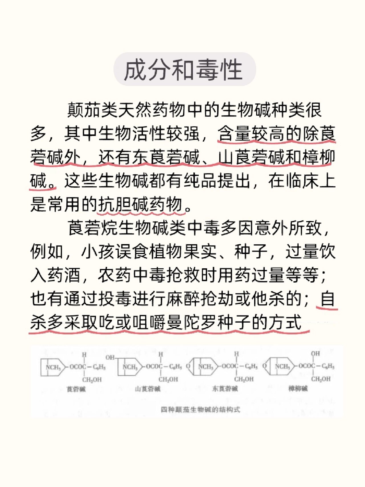 颠茄有毒吗(颠茄有毒吗,怎么治)