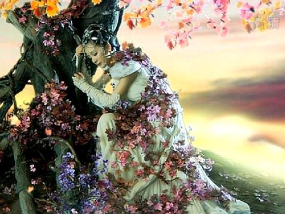 完美转世以后雨师螺(完美转世以后雨师螺全文免费阅读) 完美转世以后雨师螺(完美转世以后雨师螺全文免费阅读)