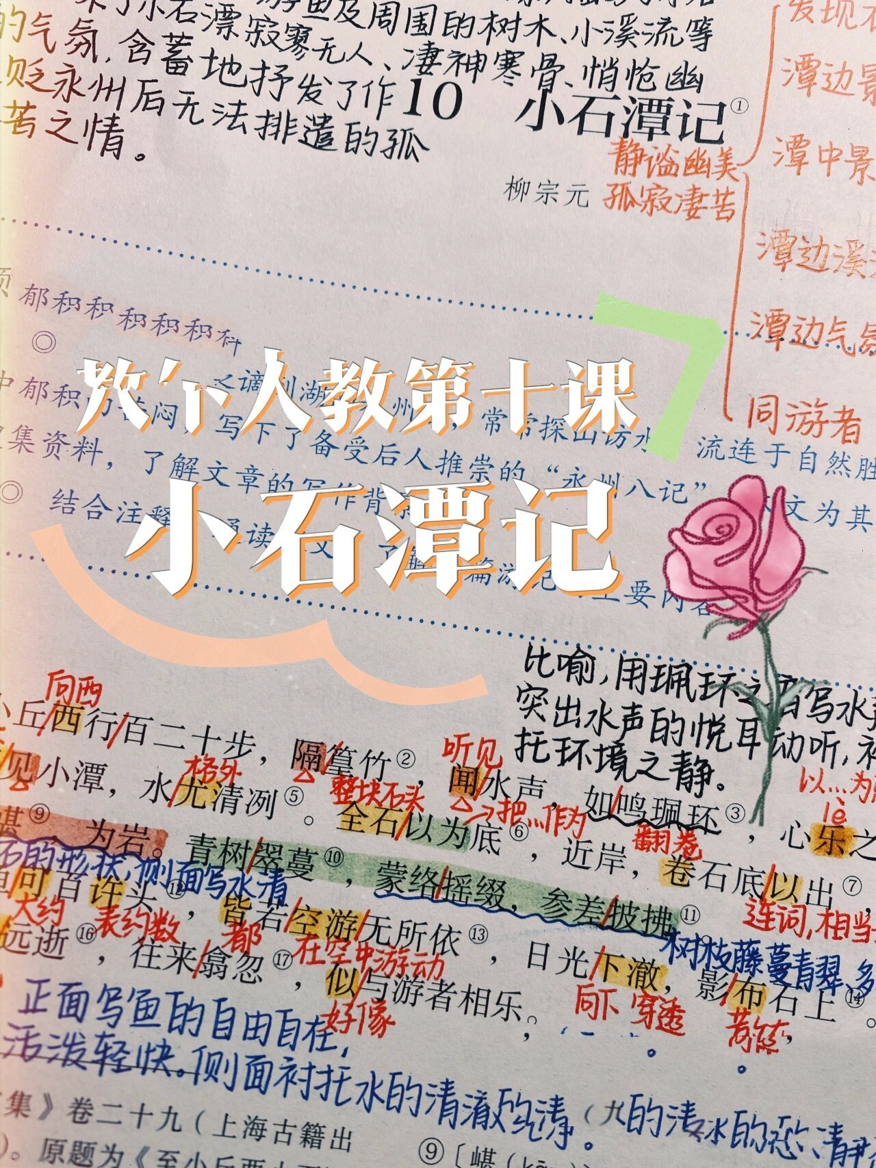 小石潭记理解性默写及答案(小石潭记理解性默写常考句子)
