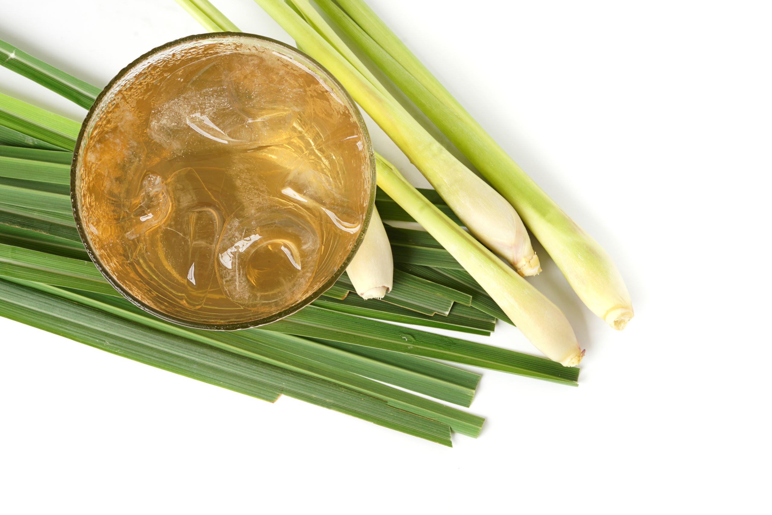 香茅根(香茅根图片)