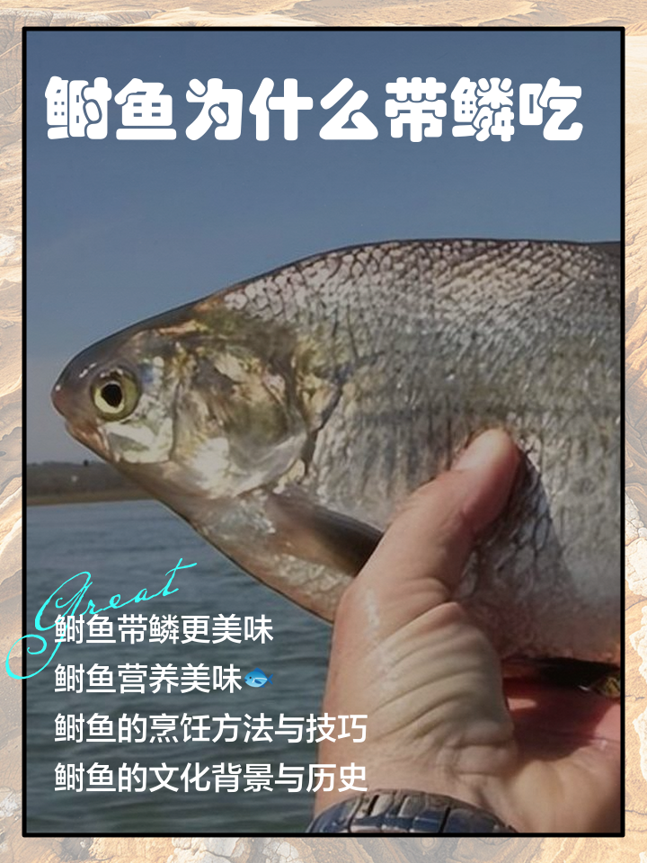 鳞怎么读(鳞茎怎么读)