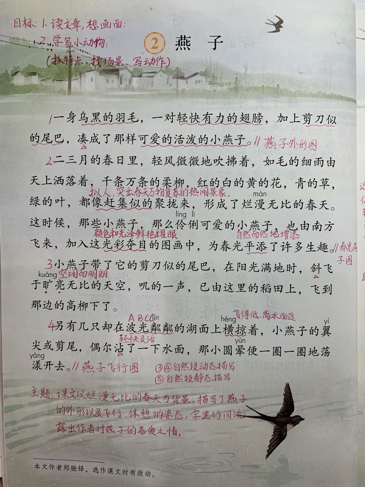 善飞的燕子阅读及答案(善飞的燕子中燕子自身的弱点是什么)