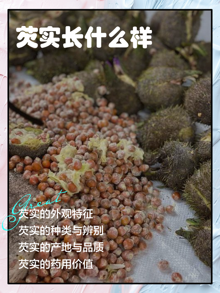 芡实不能和什么一起吃(薏米芡实不能和什么一起吃)