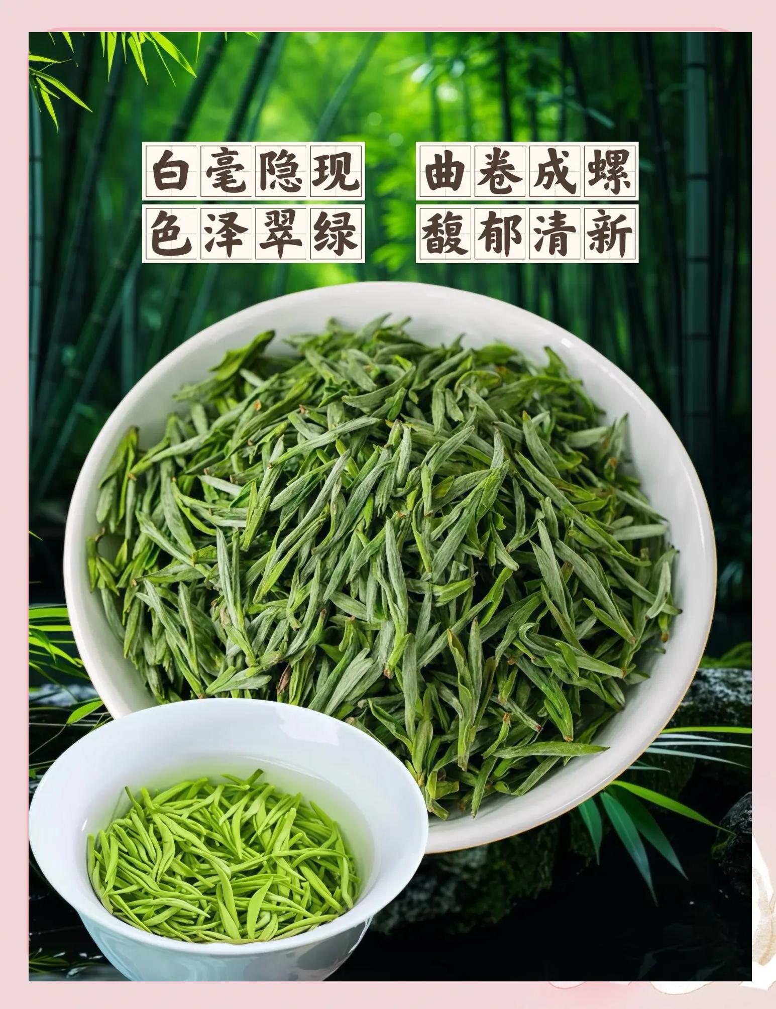 毛尖茶哪里产的最好(毛尖茶哪里产的最好喝又便宜)