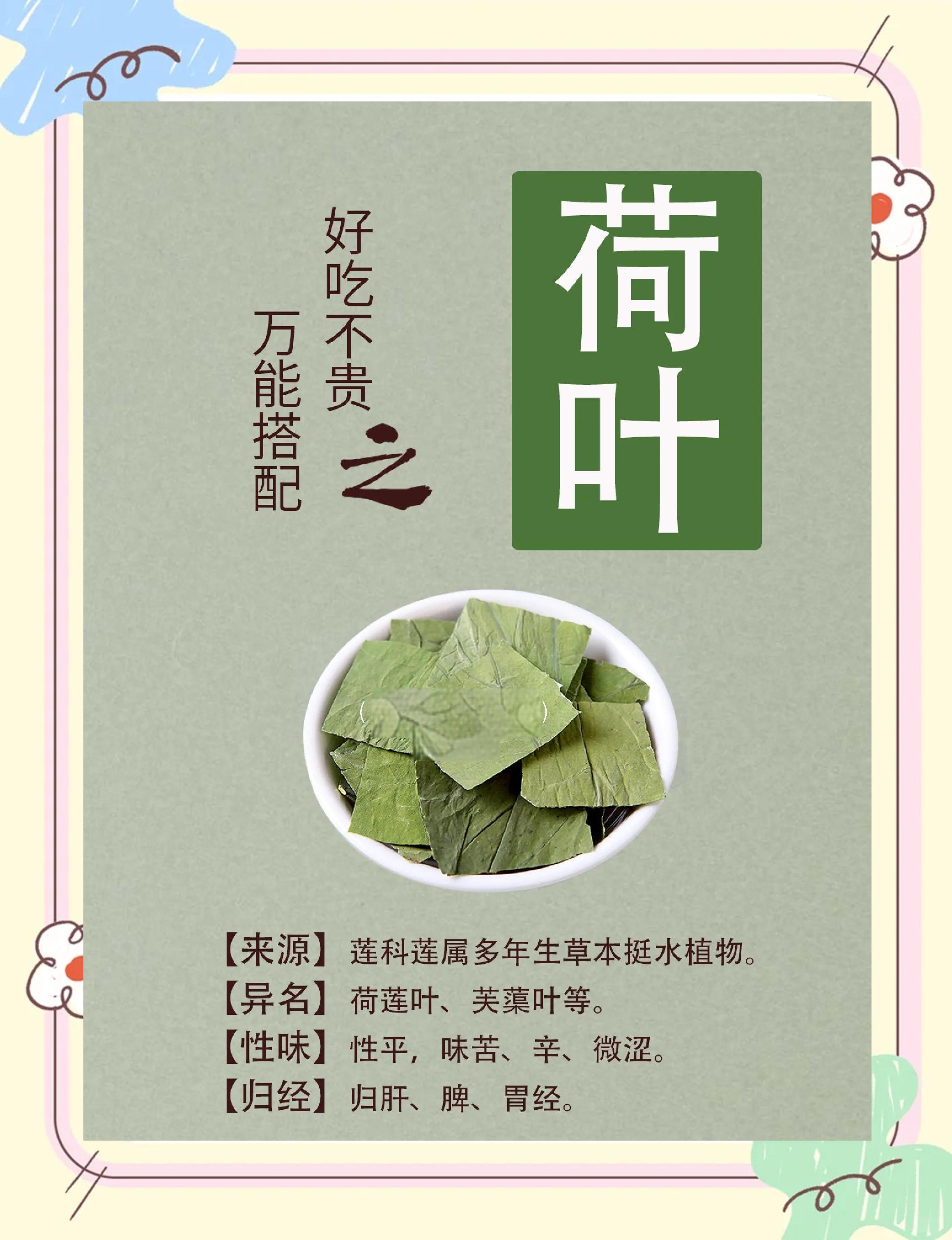 柠檬荷叶茶的作用与功效(柠檬荷叶茶的功效与作用及食用方法) 柠檬荷叶茶的作用与功效(柠檬荷叶茶的功效与作用及食用方法)