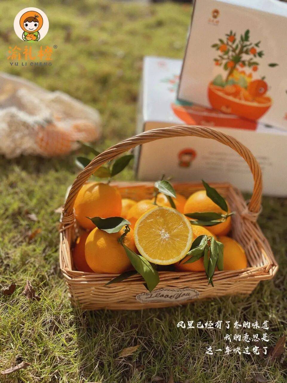 脐橙是什么意思(脐橙是什么意思啊隐晦) 脐橙是什么意思(脐橙是什么意思啊隐晦)