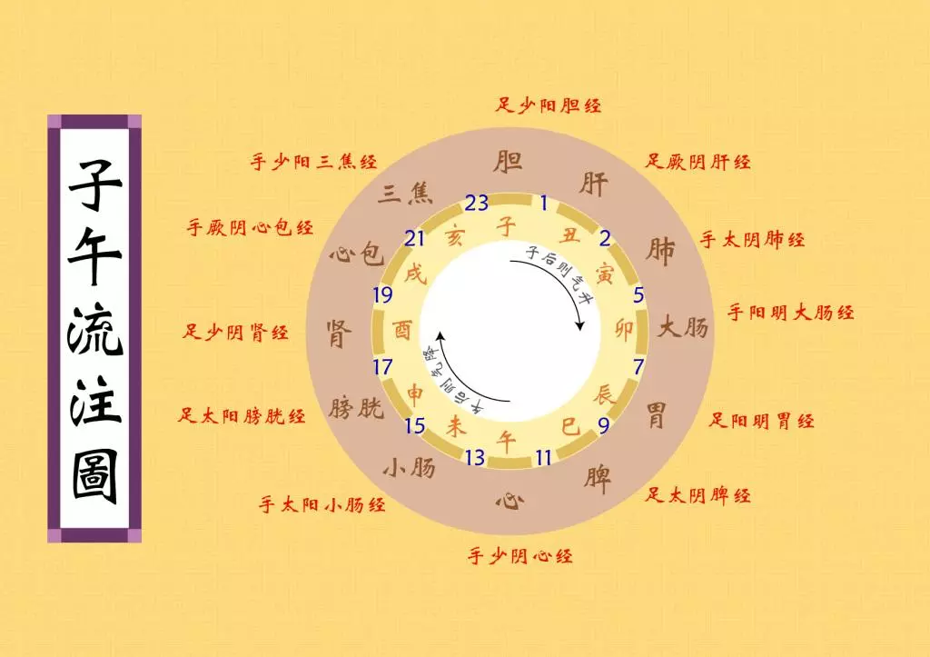 太阴黑莲经小说(太阴掌黑脸和尚什么电影)