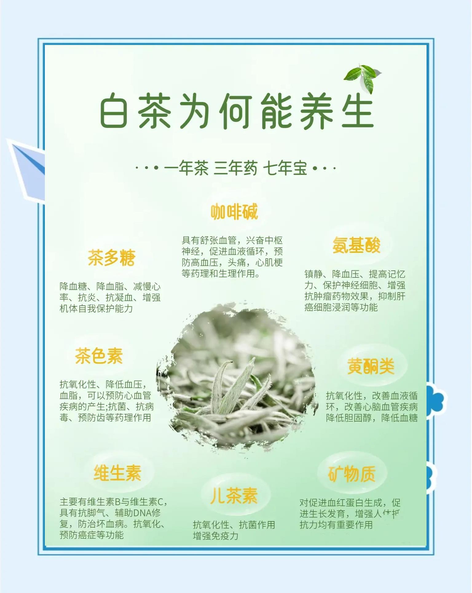 孕妇可以喝白茶吗(孕妇可以喝白茶吗有什么影响)