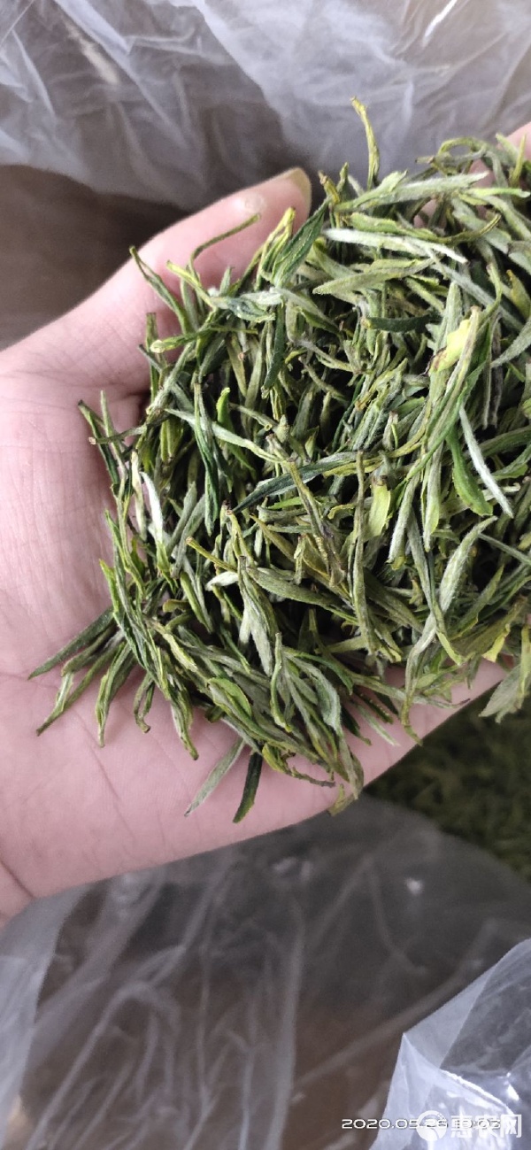 黄山毛尖(黄山毛尖茶叶价格表)