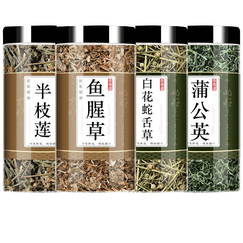 鱼腥草茶的功效与作用(蒲公英鱼腥草茶的功效与作用)