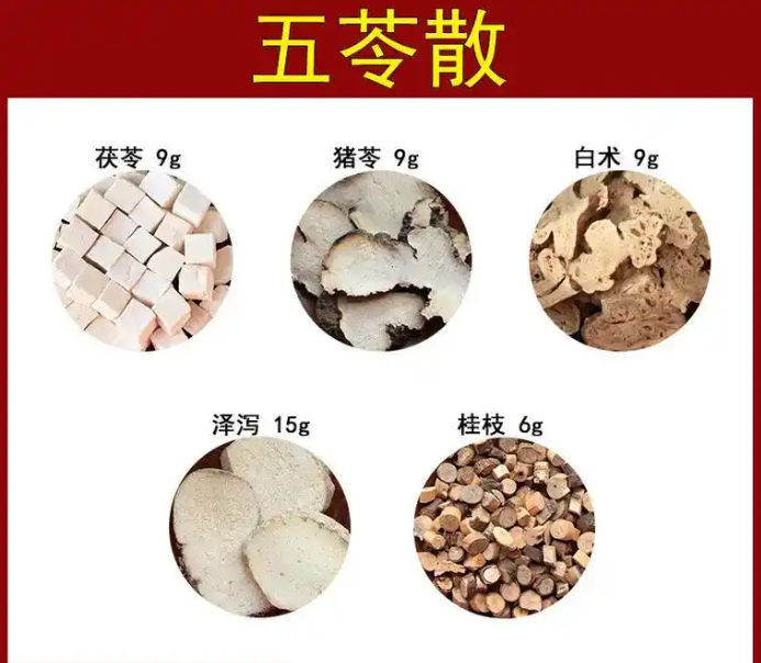 苓(苓的拼音)