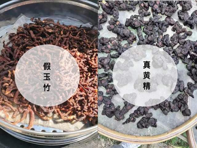 黄精市场价格(黄精价格今天多少一克)