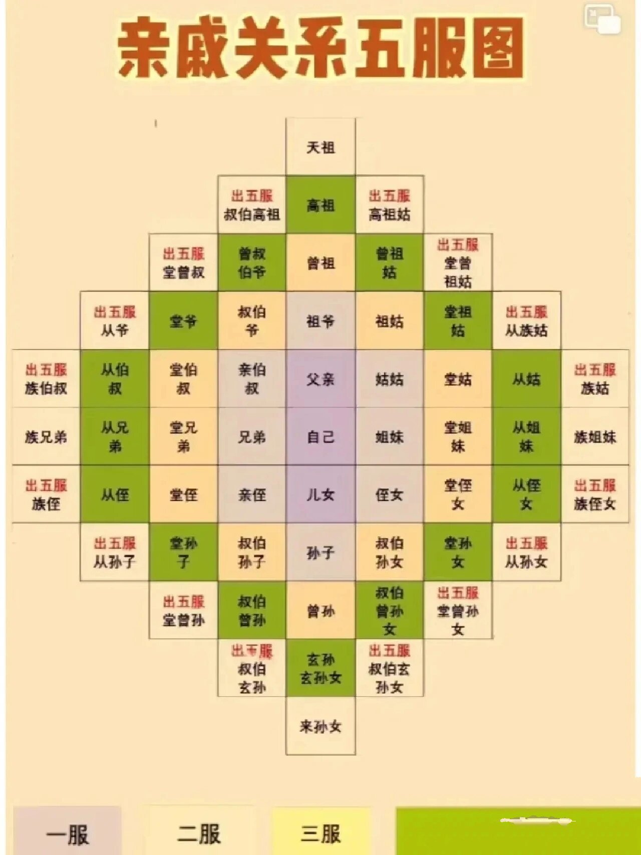 人五人六(人五人六是成语吗)