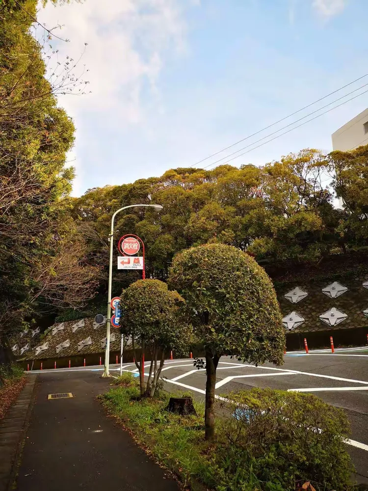 静冈大学好吗(静冈大学国内好就业吗)