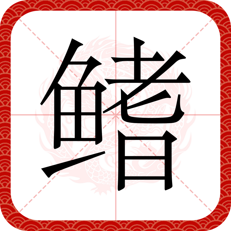 鱼鳍的拼音(鱼鳍的拼音与其的拼音)