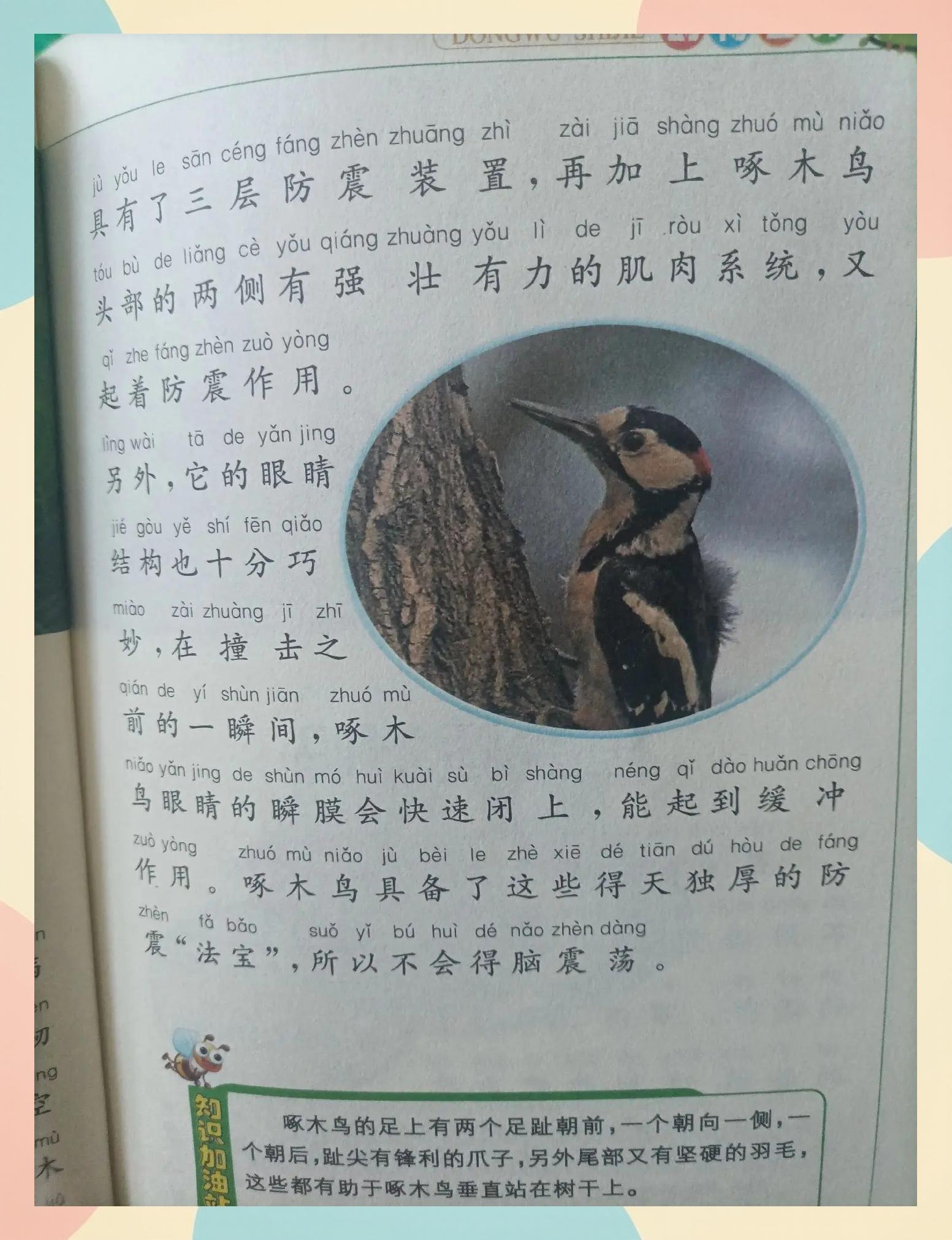 啄的意思(一饮一啄的意思)