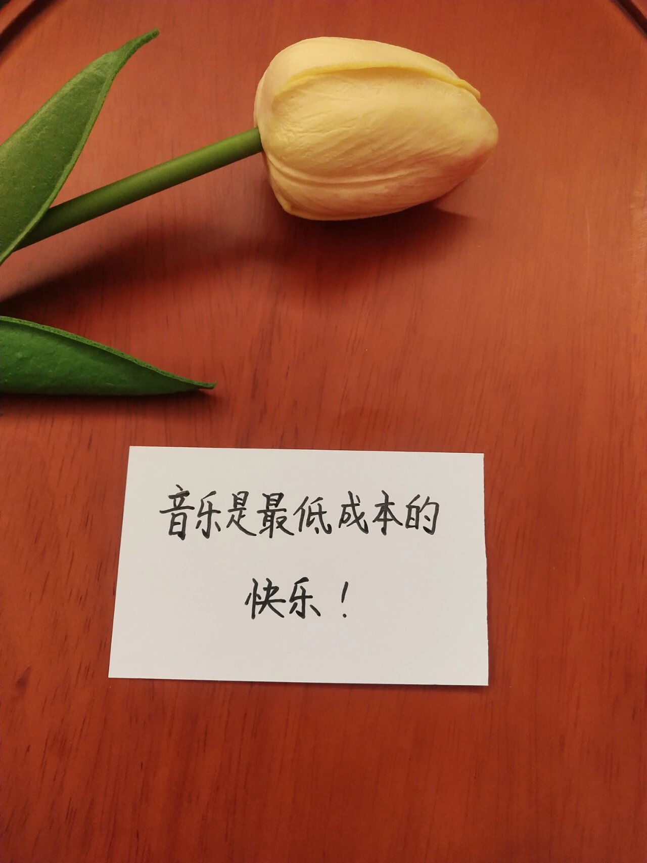 关于音乐的简短文案(关于音乐的简短文案100字)