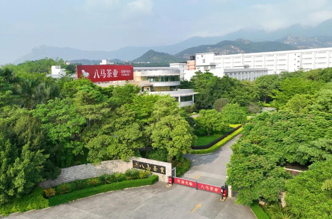 茶叶上市公司(茶叶上市公司有哪些)